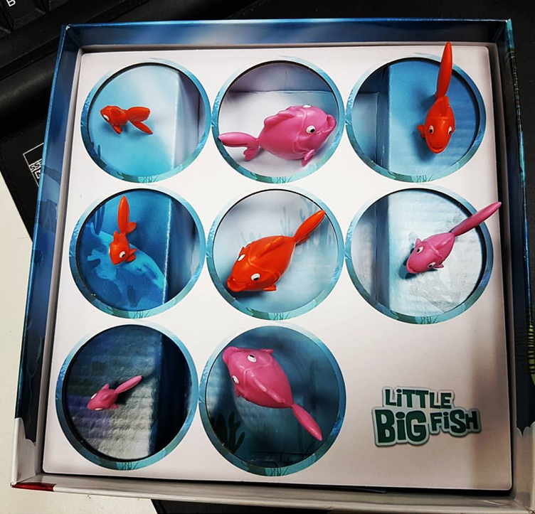 Little Big Fish : une histoire de création