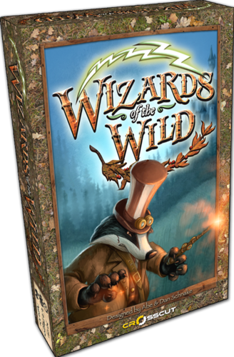 Boîte du jeu : Wizards of the Wild