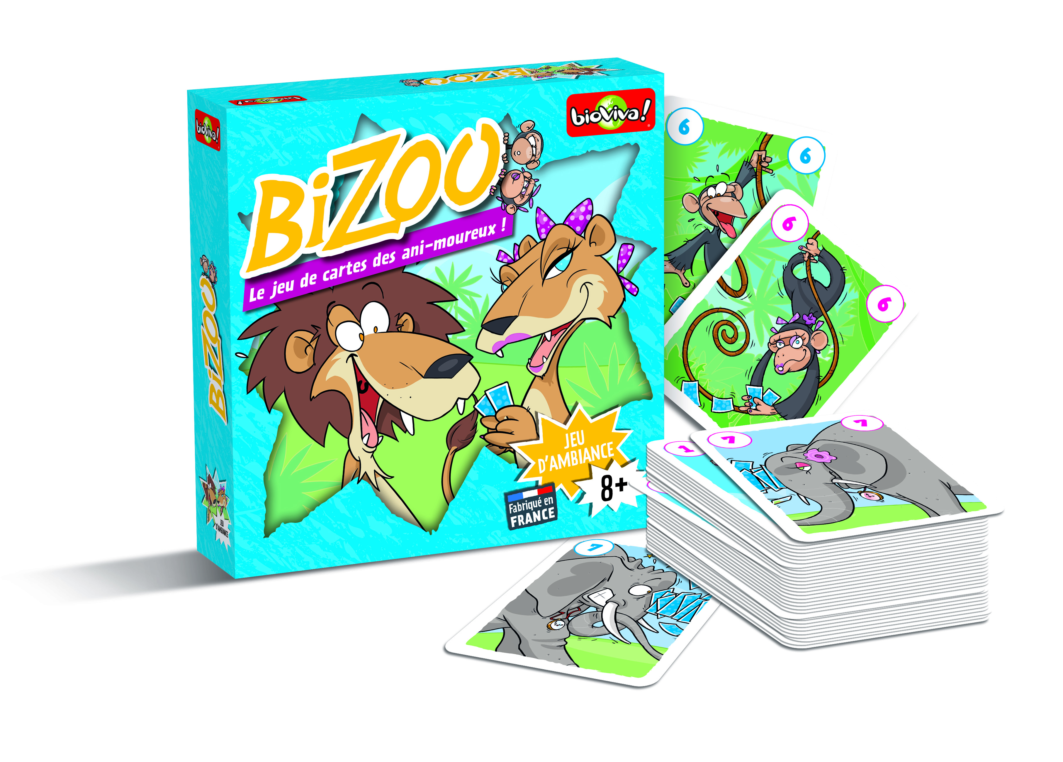 Boîte du jeu : Bizoo