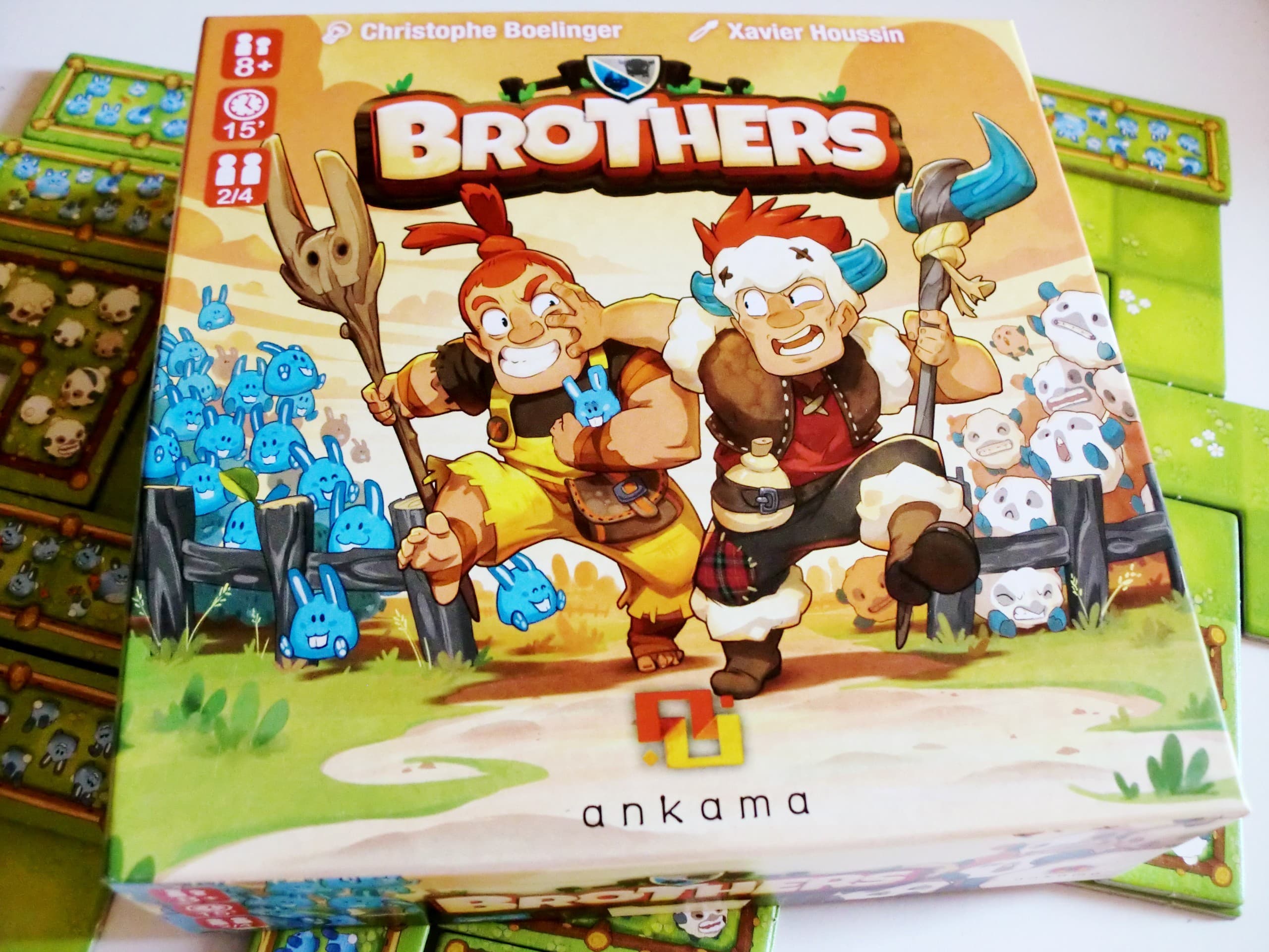 Critique de Brothers