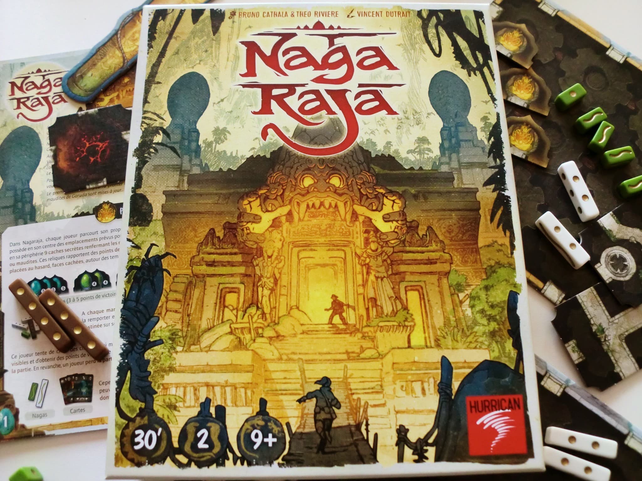 Critique de Naga Raja