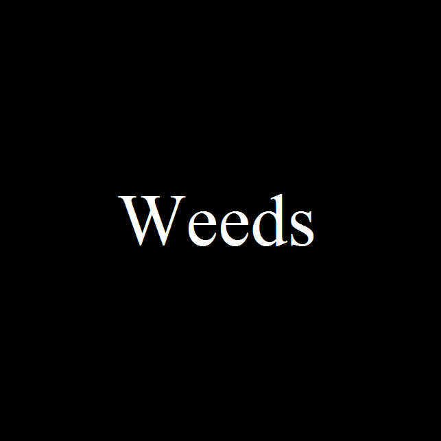 Le jeu gratuit de la semaine :  Weeds