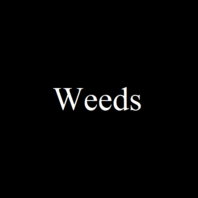 Le jeu gratuit de la semaine : Weeds