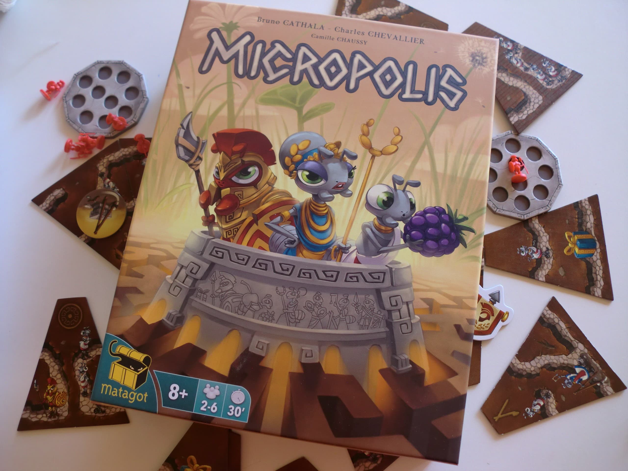 Critique de Micropolis