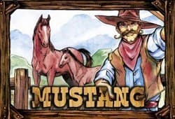 Boîte du jeu : Mustang