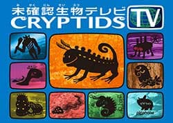 Boîte du jeu : Cryptids TV