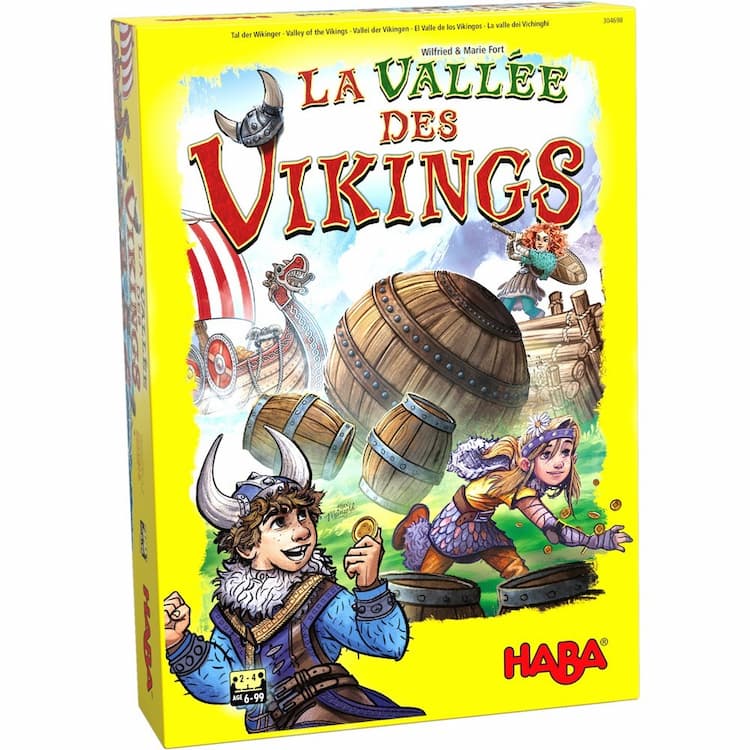 Boîte du jeu : la vallée des vikings