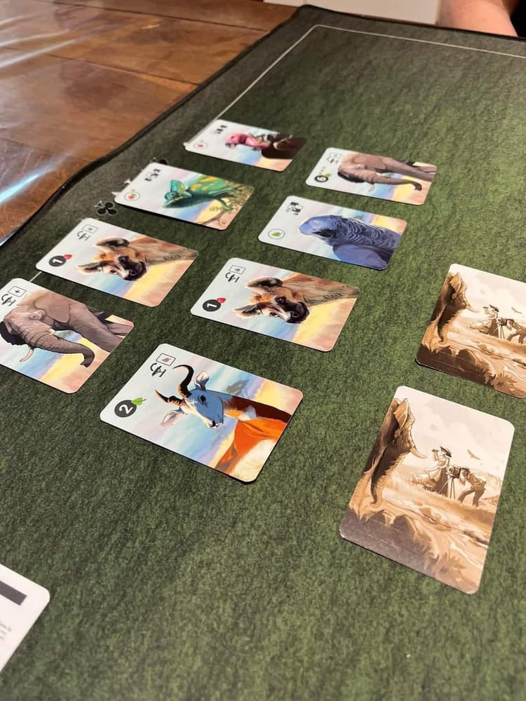 Boîte du jeu : Safari photo