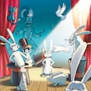 boîte du jeu : Magic Rabbit