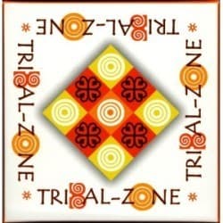 Boîte du jeu : Tribal zone