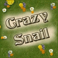 Boîte du jeu : Crazy Snail