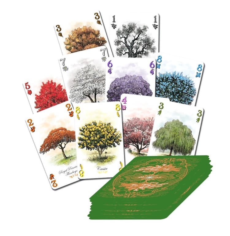 Boîte du jeu : Arboretum