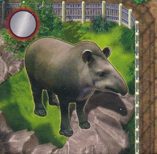 Boîte du jeu : Zooloretto - Extension "Tapir"