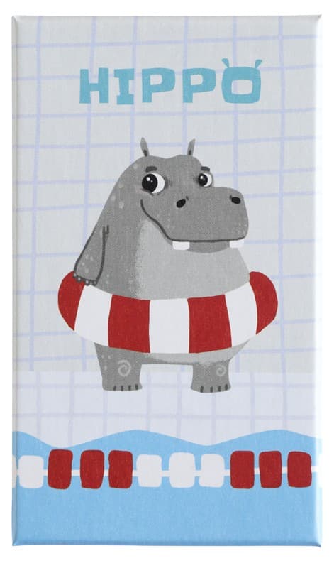 Boîte du jeu : Hippo