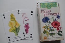 Boîte du jeu : Fleurs Sauvages