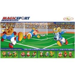 Boîte du jeu : MagicSport