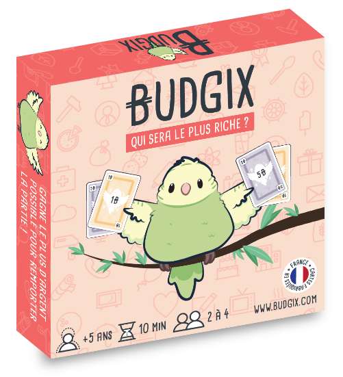 Boîte du jeu : BUDGIX