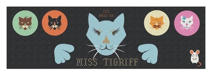 Boîte du jeu : Miss Tigriff
