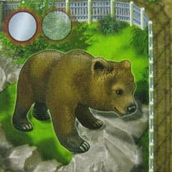 Boîte du jeu : Zooloretto Grizzly